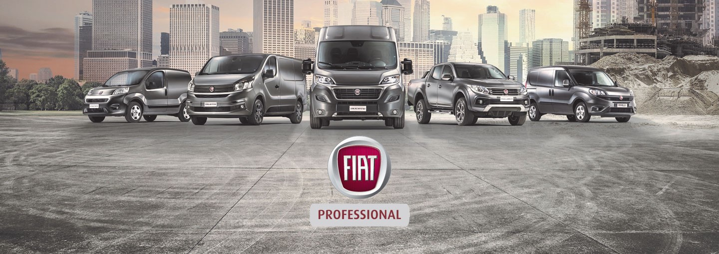 Our Brands fiat professional banner
